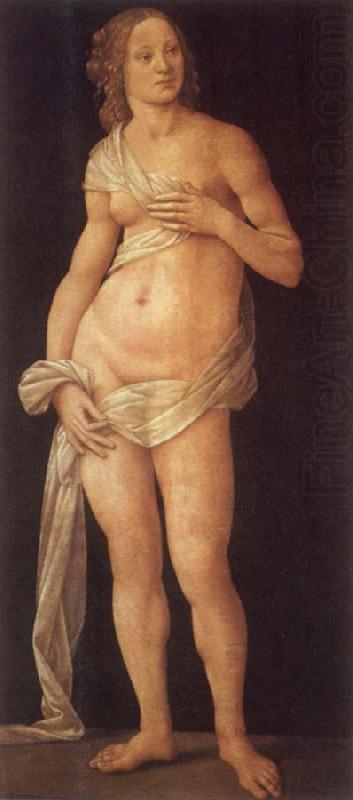 LORENZO DI CREDI Venus china oil painting image
